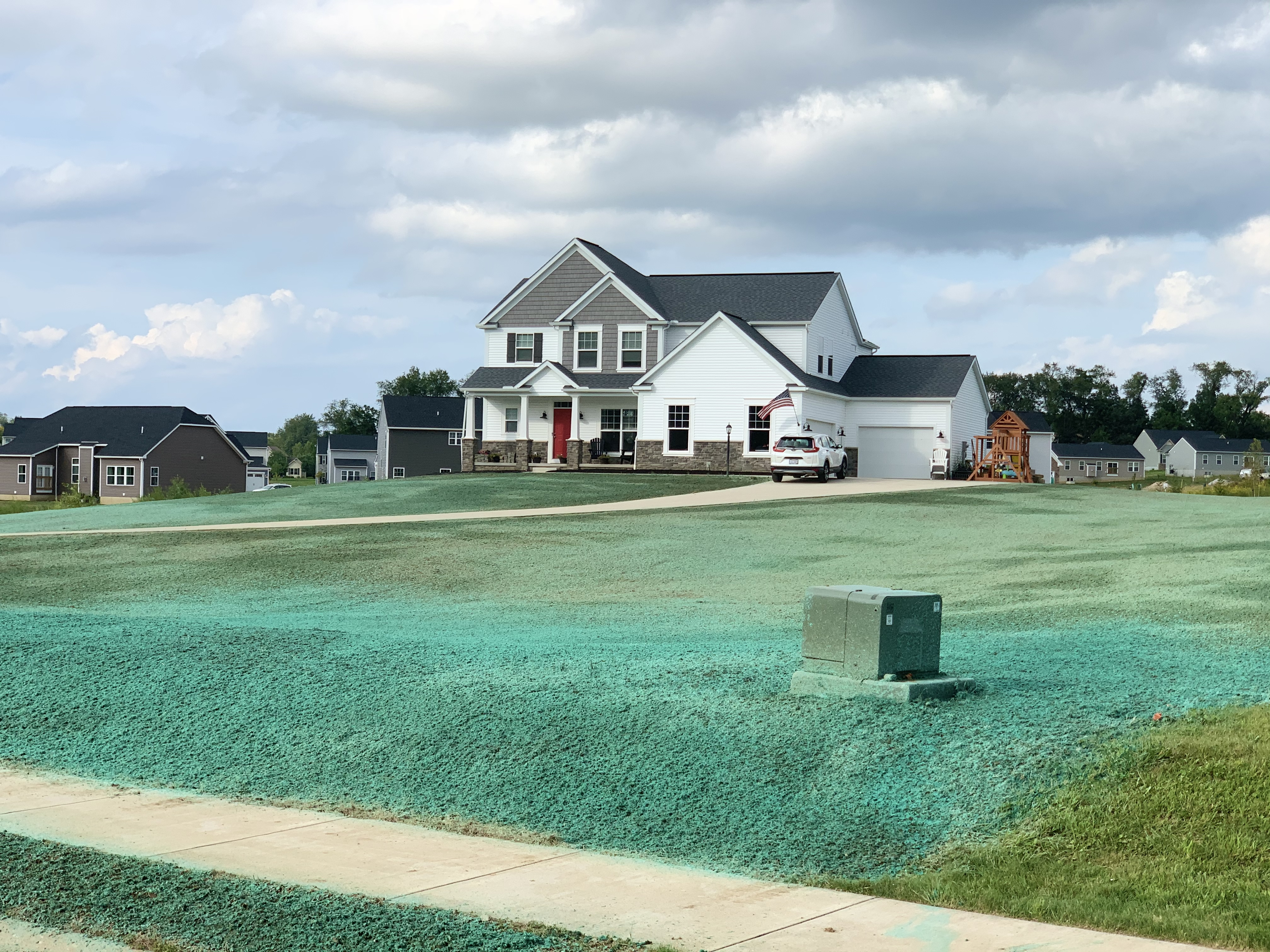 Healthy hydroseeded lawn