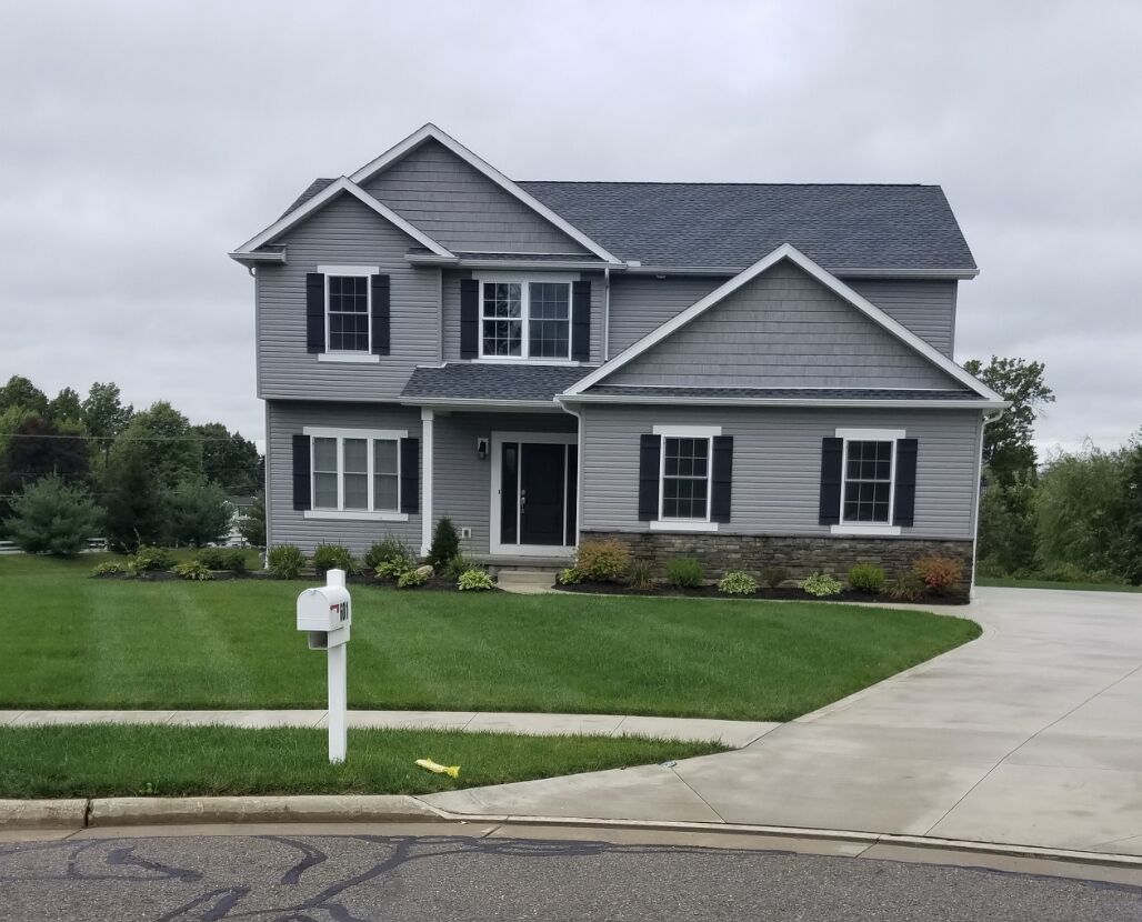 Healthy hydroseeded lawn