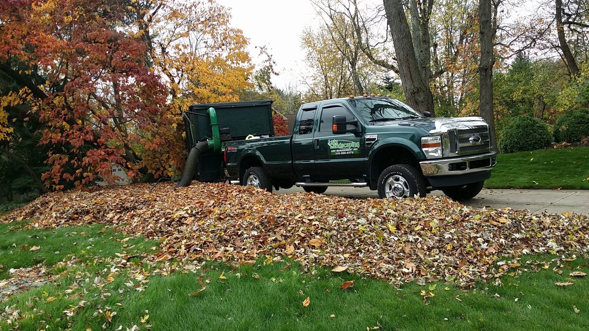 Leaf Cleanup Service