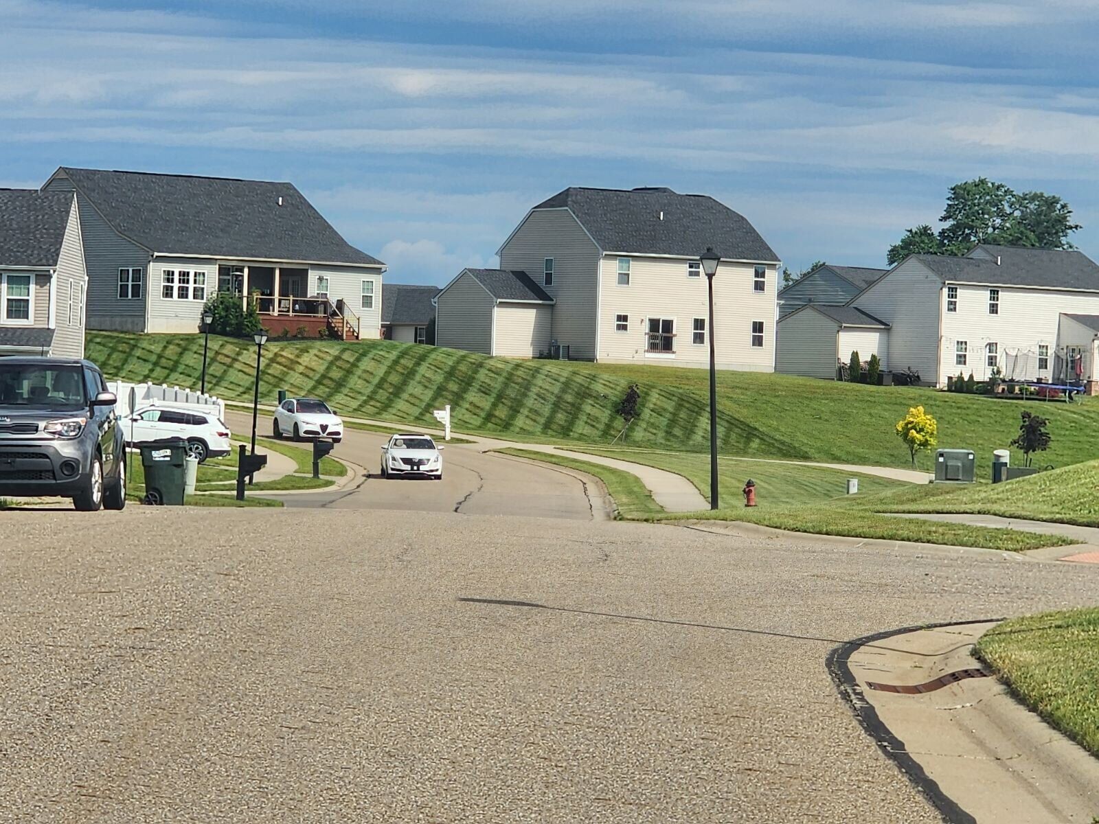 Manicured lawn with striping