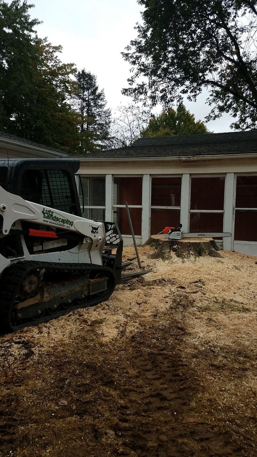Stump Removal