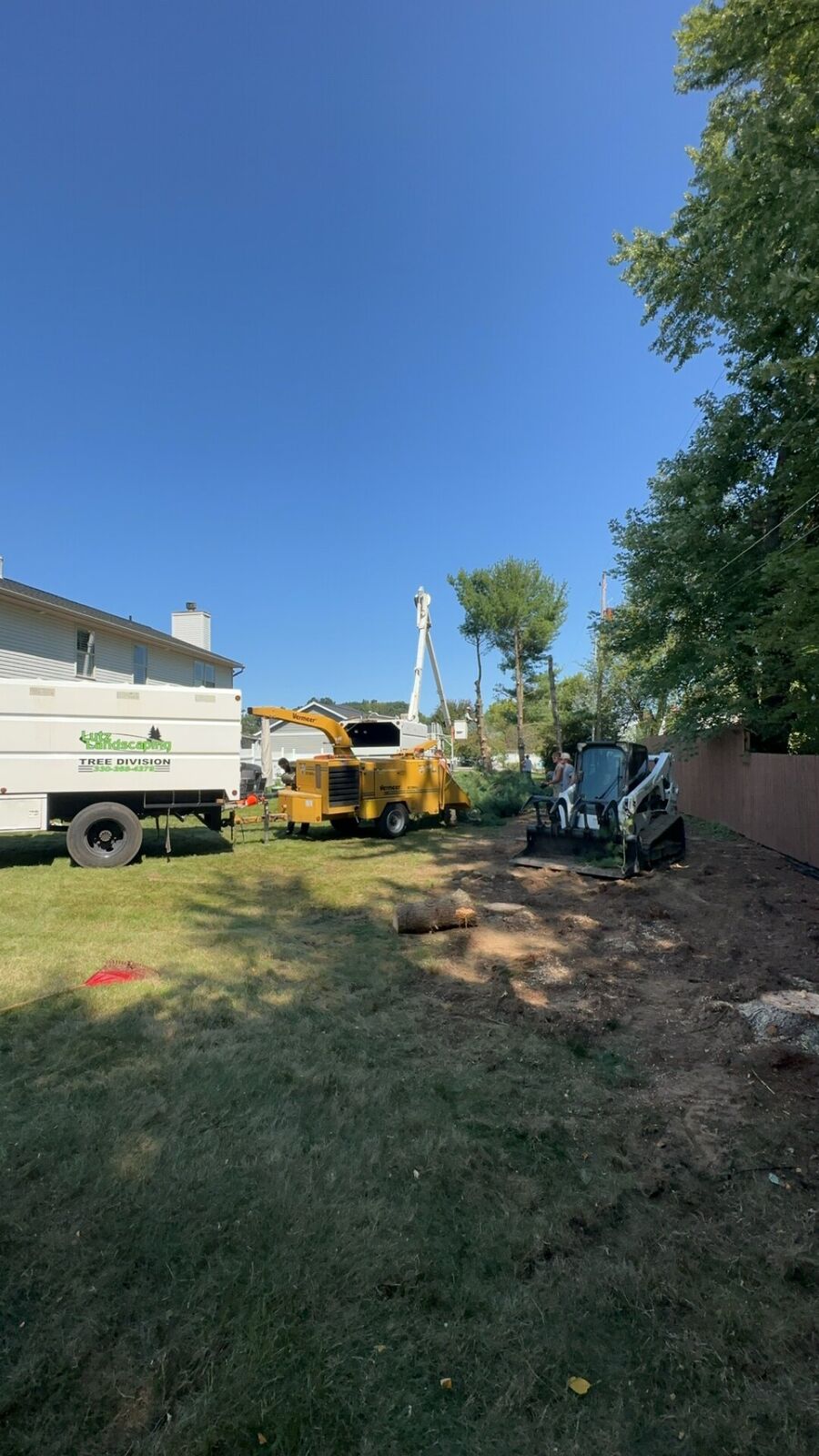 Tree Trimming Service