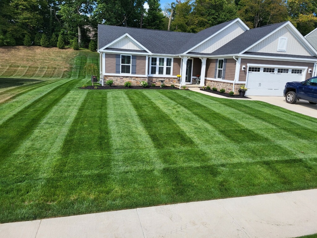 Professional Lawn Mowing