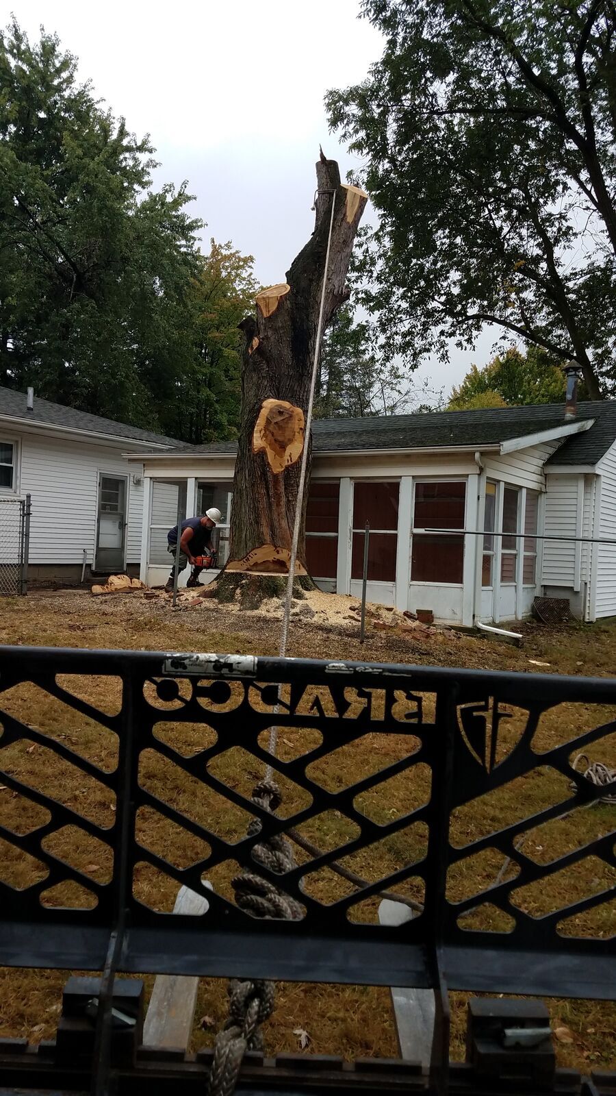 Firewood Sales 1