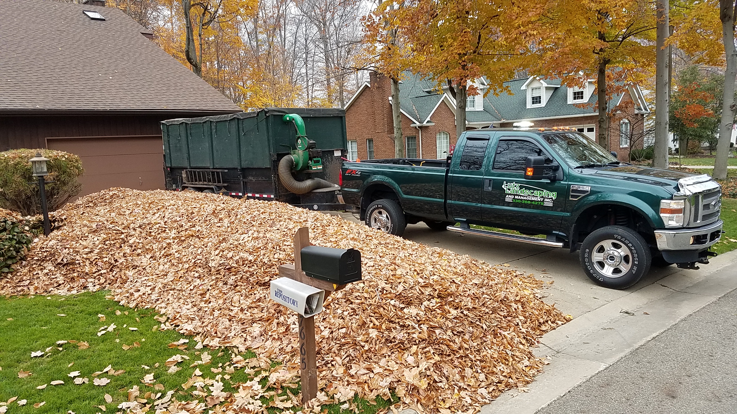Fall Leaf Removal