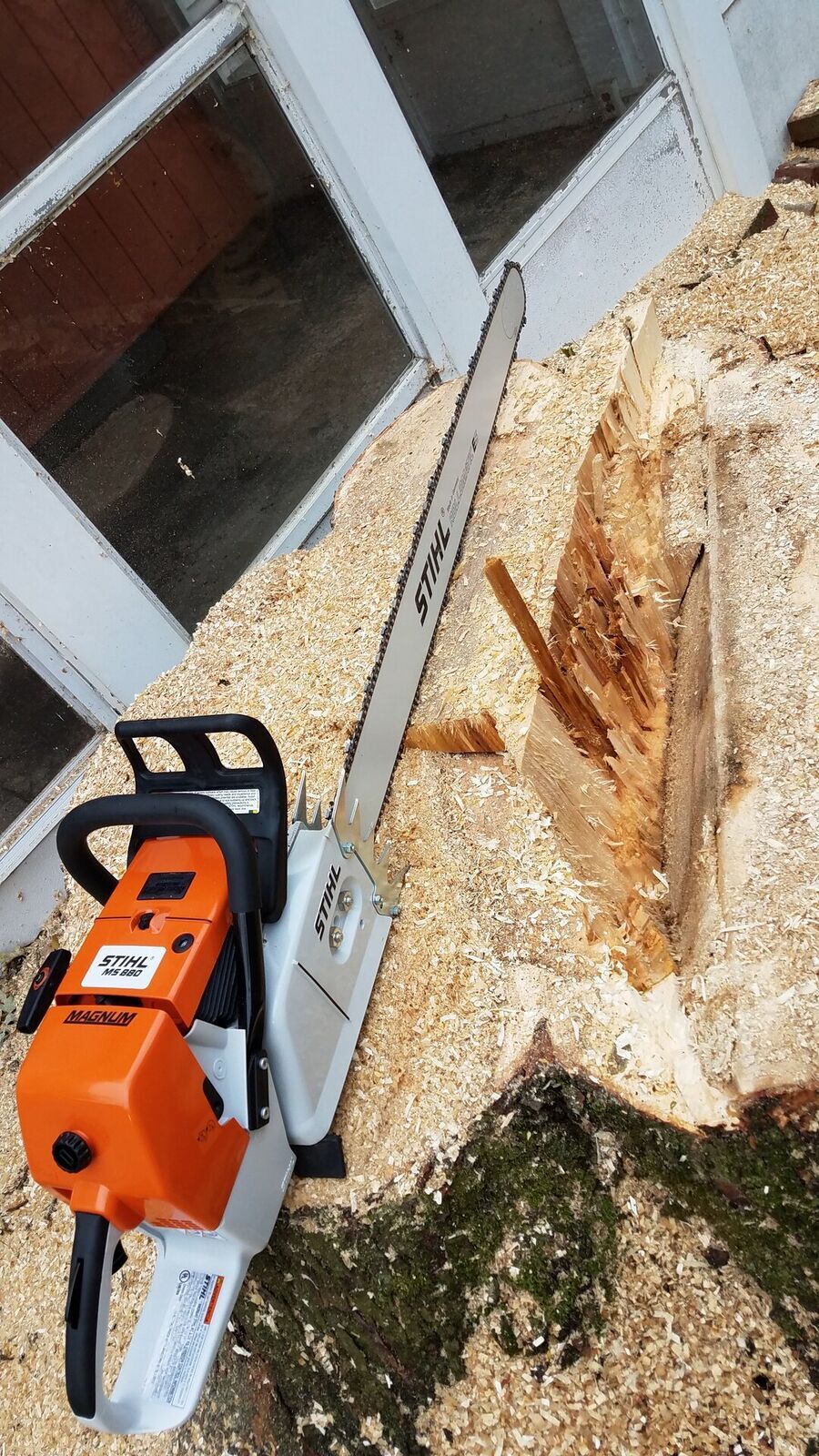 Tree Service 3
